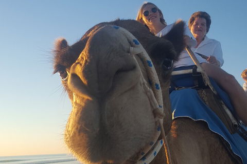 Broome Pre-sunset Camel Tour 30 Minutes - Foster Accommodation 1