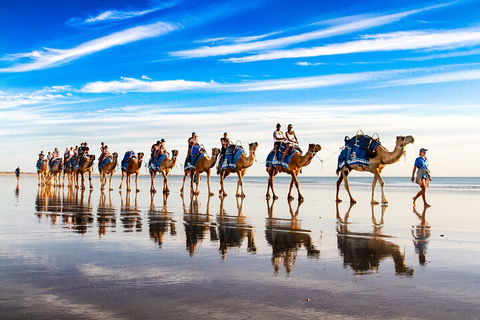 Broome Pre-sunset Camel Tour 30 Minutes - Foster Accommodation 2