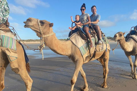 Broome Pre-sunset Camel Tour 30 Minutes - Foster Accommodation 3