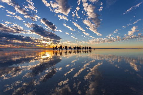 Broome Pre-sunset Camel Tour 30 Minutes - Foster Accommodation 4