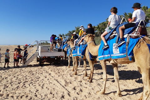 Broome Pre-sunset Camel Tour 30 Minutes - Foster Accommodation 5