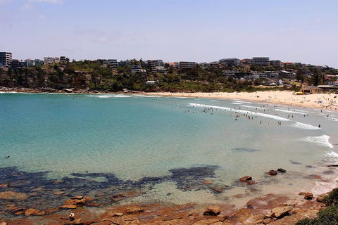 Half Day Manly Beach And More - Foster Accommodation 2