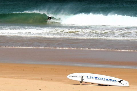 Half Day Manly Beach And More - Foster Accommodation 5