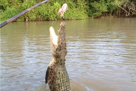 Litchfield National Park And Jumping Crocodile Cruise - Foster Accommodation 2