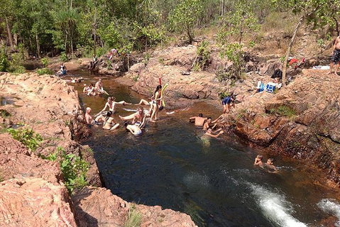 Litchfield National Park And Jumping Crocodile Cruise - Foster Accommodation 5