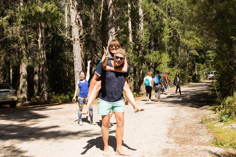 7-Day Best Of Tasmania Adventure Experience From Hobart (flexible Ticket) - Foster Accommodation 5