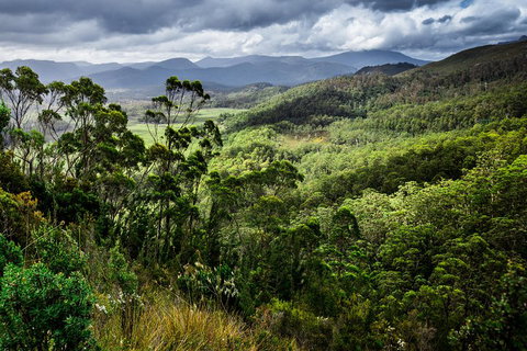 5-Day Lap Of Tasmania Tour From Hobart (flexible Ticket) - Foster Accommodation 2