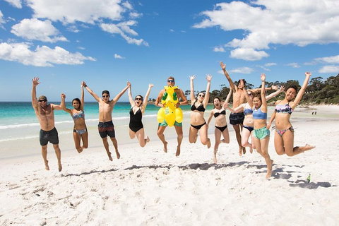 5-Day Lap Of Tasmania Tour From Hobart (flexible Ticket) - Foster Accommodation 4