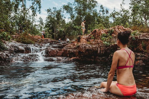 Litchfield National Park Day Tour From Darwin With Waterfalls And Buley Rockhole - Foster Accommodation 0