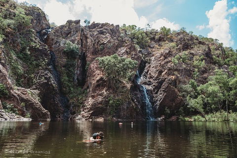 Litchfield National Park Day Tour From Darwin With Waterfalls And Buley Rockhole - Foster Accommodation 1
