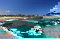 Private Sydney City and Bondi Beach Half Day Tour