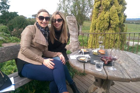 McLaren Vale Intimate Winery Tour By Private Limo - Foster Accommodation 4