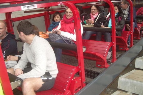 Full-Day Private Blue Mountains Tour With River Cruise - Foster Accommodation 0