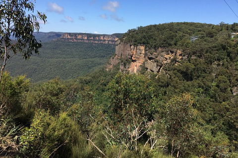 Full-Day Private Blue Mountains Tour With River Cruise - Foster Accommodation 1