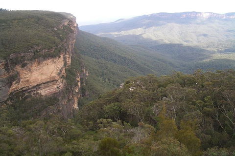 Full-Day Private Blue Mountains Tour With River Cruise - Foster Accommodation 3