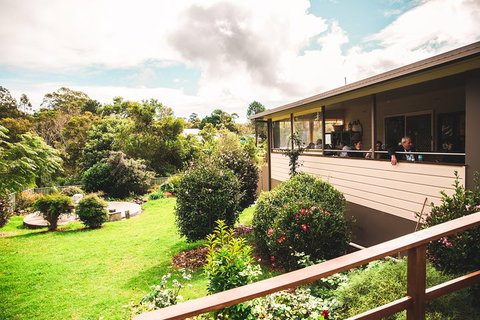 Full-day Springbrook National Park Tour From The Gold Coast - Foster Accommodation 2