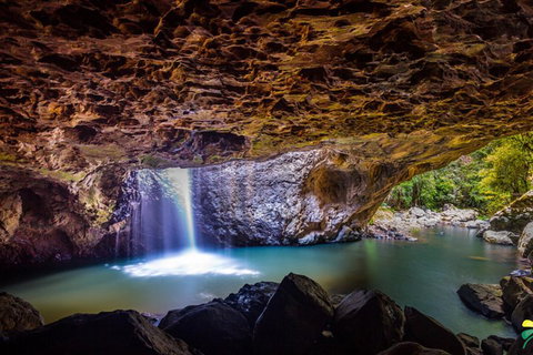 Full-day Springbrook National Park Tour From The Gold Coast - Foster Accommodation 3