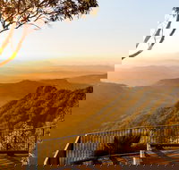 O'Reilly's  Lamington National Park incl. Alpaca Farm  Vineyard - Foster Accommodation