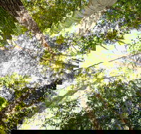 Fraser Island 4WD Tour from Noosa - Foster Accommodation