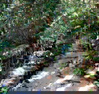 Fraser Island 4WD Tour from Rainbow Beach - Foster Accommodation