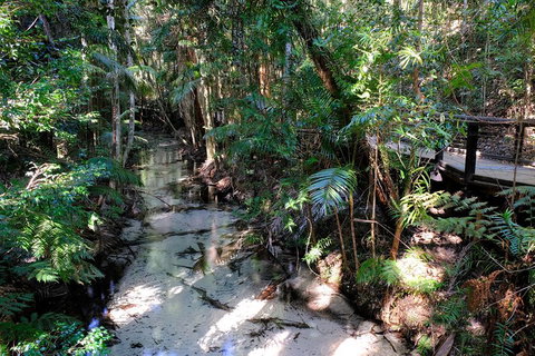 Fraser Island 4WD Tour From Rainbow Beach - Foster Accommodation 0