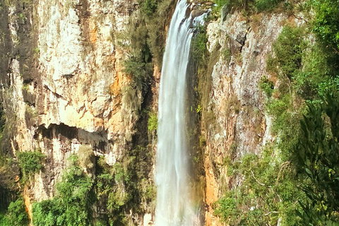 Natural Arch, Rainforest & Volcano Canyon - Private Half Day Tour - Foster Accommodation 2