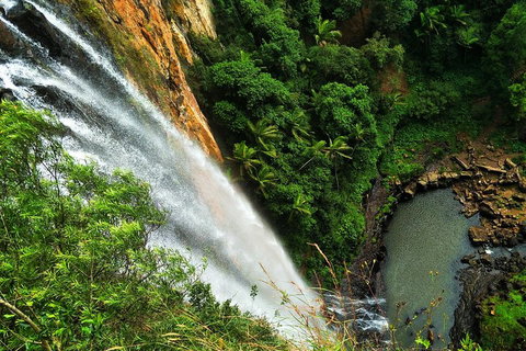 Natural Arch, Rainforest & Volcano Canyon - Private Half Day Tour - Foster Accommodation 5