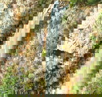 Private Tour - Rainforest  Waterfalls Extravaganza - Foster Accommodation