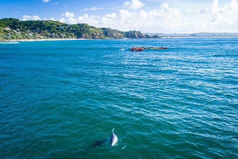 The Byron Bay Sea Kayak Tour - Foster Accommodation 2
