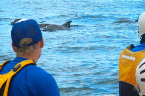The Byron Bay Sea Kayak Tour - Foster Accommodation 4