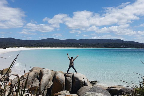 Tasmania 4 Day East Coast + Launceston - Foster Accommodation 1