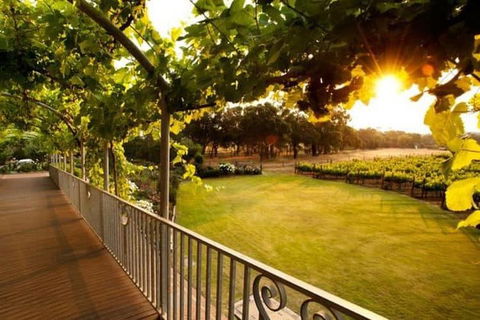 Busselton Jetty + Train Ride + Winery + Scenic Drive Full Day Tour - Foster Accommodation 1
