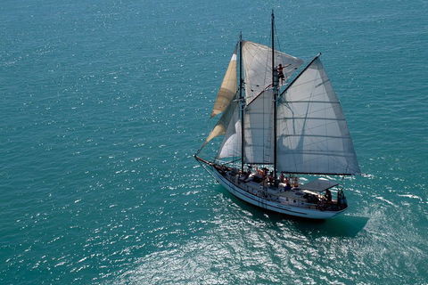 Whitehaven Beach Sailing And Snorkeling Cruise - Foster Accommodation 1
