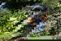 Book Viator Accommodation Vacations Foster Accommodation Foster Accommodation