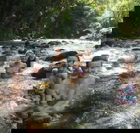 Daintree Rainforest Cape Tribulation Mossman Gorge Small-Group Day Tour - Foster Accommodation