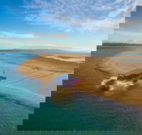 Town of 1770 Afternoon Cruise - Foster Accommodation