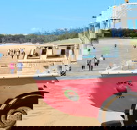 1770 Coastline Tour by LARC Amphibious Vehicle Including Picnic Lunch - Foster Accommodation