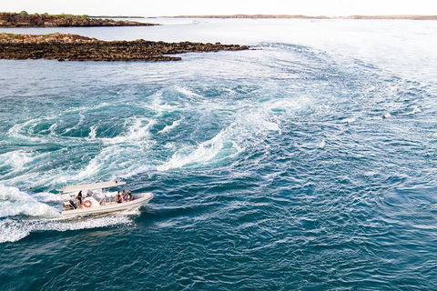 Giant Tides Tour - Cygnet Bay Pearl Farm - Foster Accommodation 4