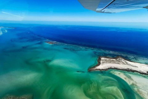 Wet Season Incredible Islands Tour - Horizontal Falls & Cygnet Bay Pearl Farm - Foster Accommodation 4