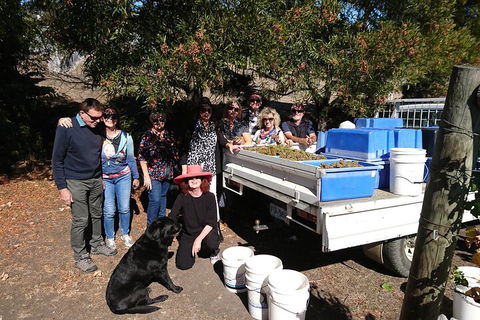 Valleys Of Vino Tour - Foster Accommodation 1