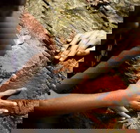 Ngana Julaymba Dungay - Full Day - Foster Accommodation