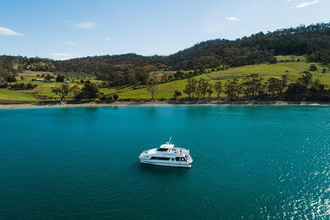 Deep-to-Dish: Tasmanian Seafood Experience - Foster Accommodation 0