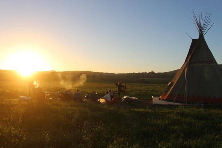  Foster Accommodation