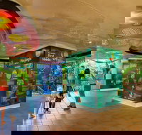 Skyrail  Kuranda Train Day Trip from Cairns - Foster Accommodation