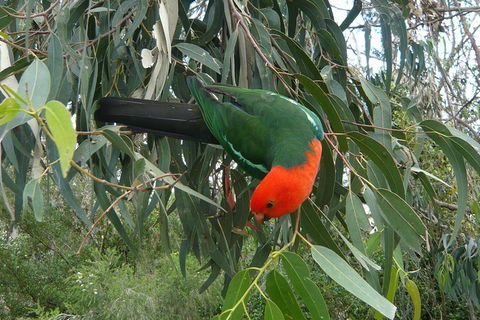 3-Day Private Adelaide To Melbourne Tour - Foster Accommodation 0