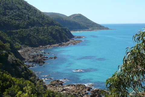 3-Day Adelaide To Melbourne Tour Including The Great Ocean Road - Foster Accommodation 1