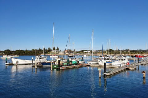 3-Day Adelaide To Melbourne Tour Including The Great Ocean Road - Foster Accommodation 4