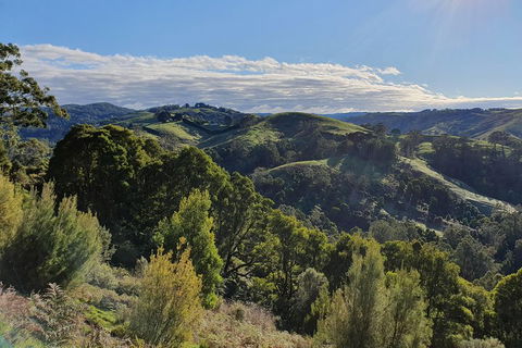 3-Day Adelaide To Melbourne Tour Including The Great Ocean Road - Foster Accommodation 5