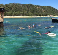 All Inclusive Dolphin and Tangalooma Wrecks Cruise - Foster Accommodation