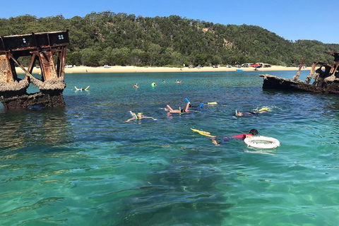 All Inclusive Dolphin And Tangalooma Wrecks Cruise - Foster Accommodation 0